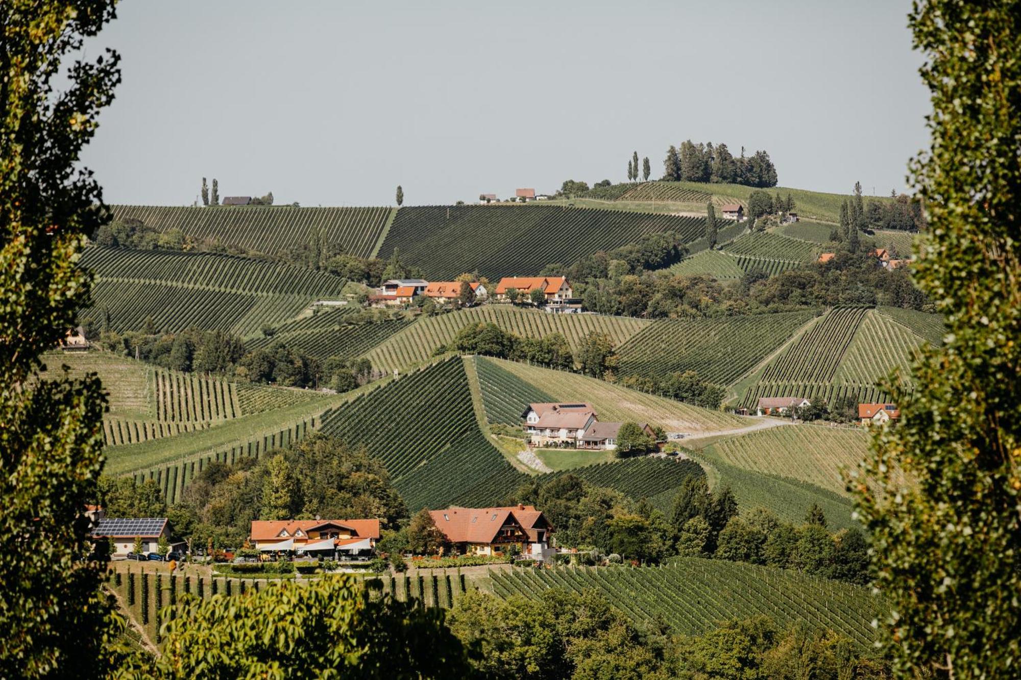 Ferienhaus Am Herbsthof Leutschach Buitenkant foto
