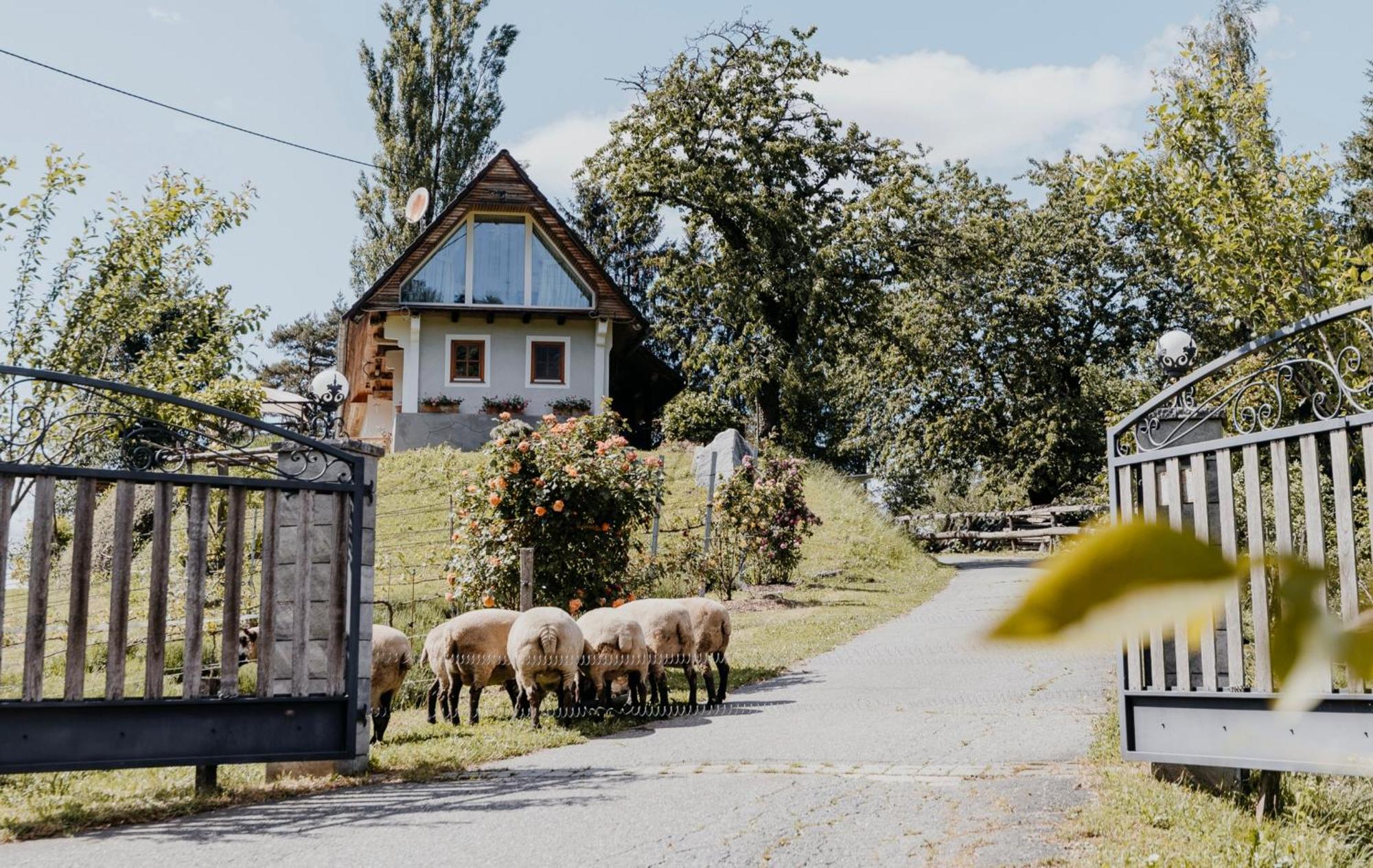 Ferienhaus Am Herbsthof Leutschach Buitenkant foto