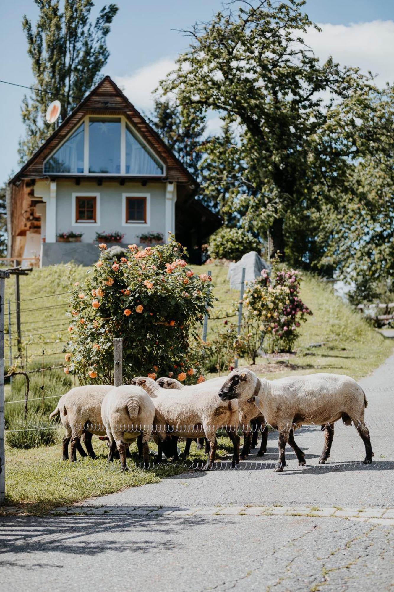 Ferienhaus Am Herbsthof Leutschach Buitenkant foto