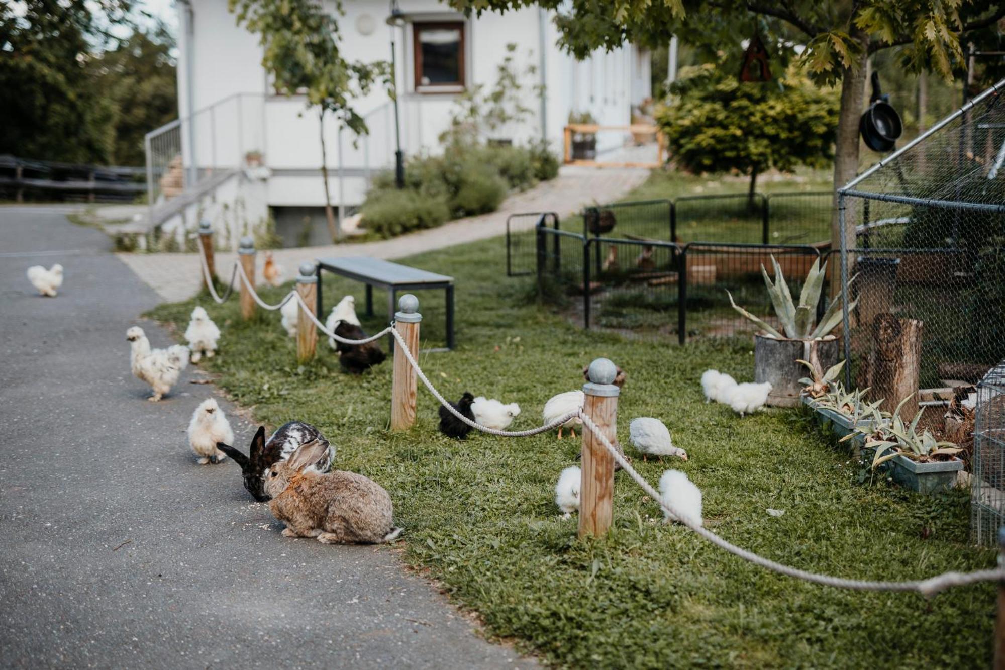 Ferienhaus Am Herbsthof Leutschach Buitenkant foto
