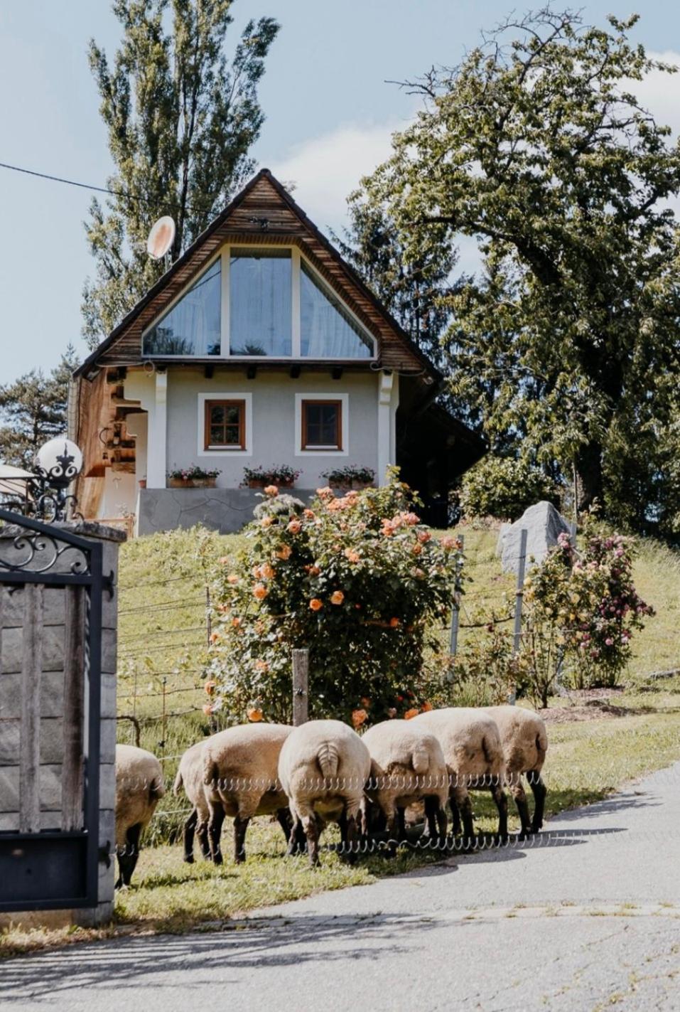 Ferienhaus Am Herbsthof Leutschach Buitenkant foto